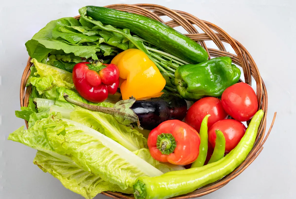 Ein Korb gefüllt mit frisch geerntetem grünen Gemüse wie Salat, Grünkohl und Zucchini.