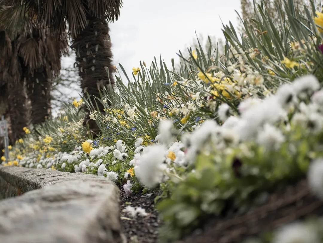 Ruhender Wintergarten mit Frost