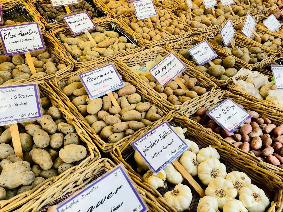 Verschiedene Kartoffelsorten nebeneinander