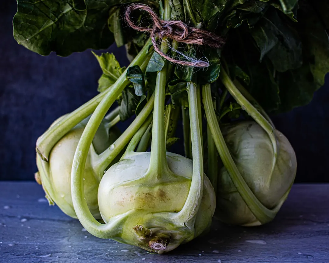 Kohlrabiknollen wachsen im Beet