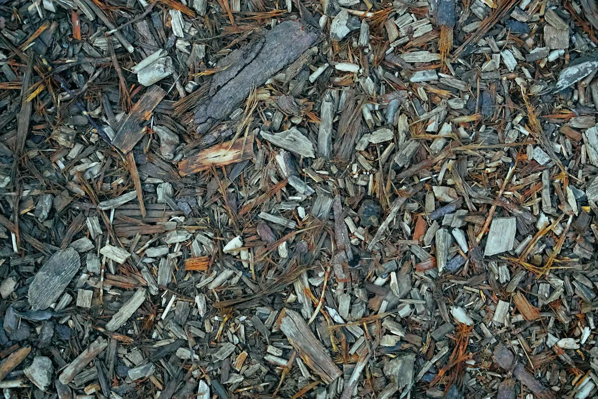 Rindenmulch als organische Bodenbedeckung in Nahaufnahme