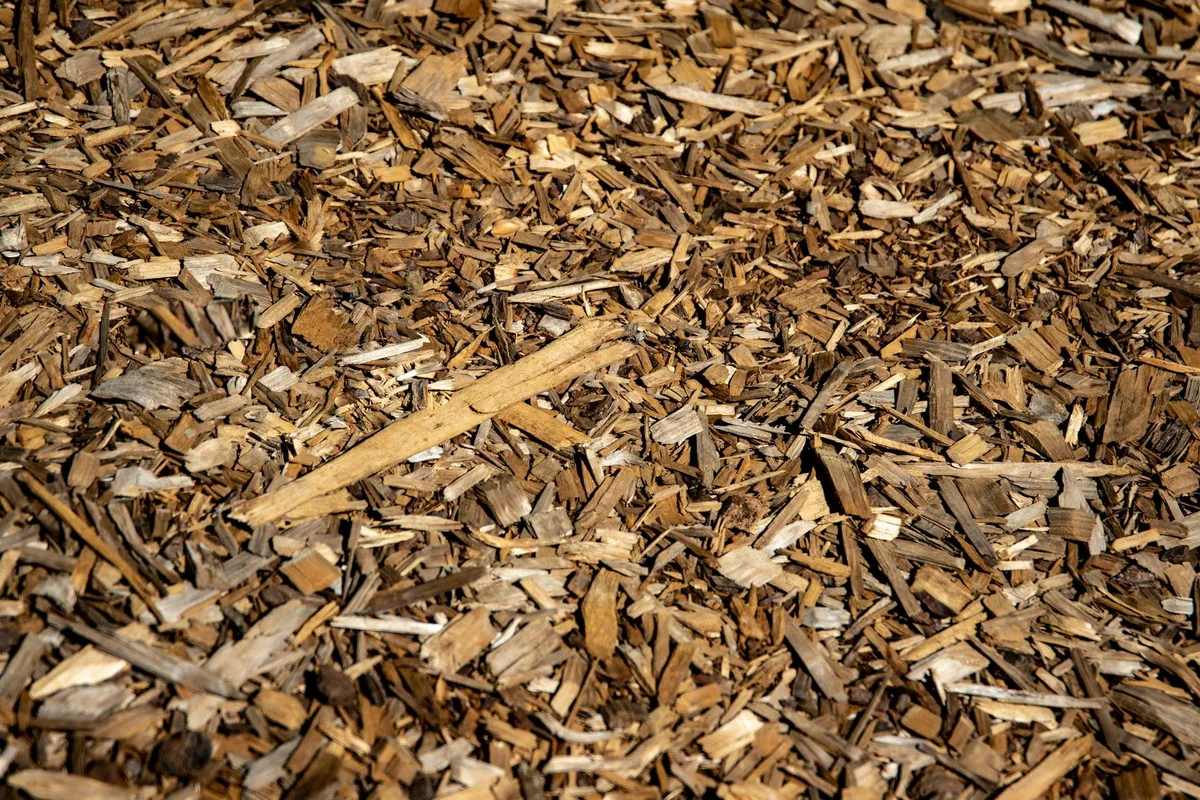 Rindenmulch zwischen Gemüsepflanzen