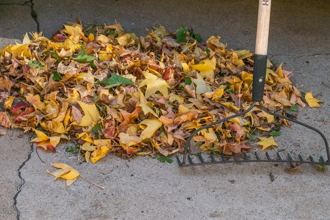 Gartenaufräumarbeiten und Kompostierung im November