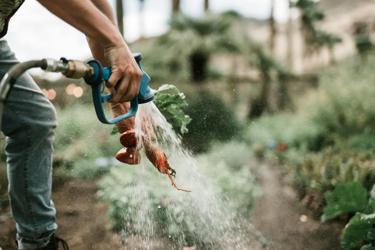 Gartengießkanne wird aus Regentonne gefüllt